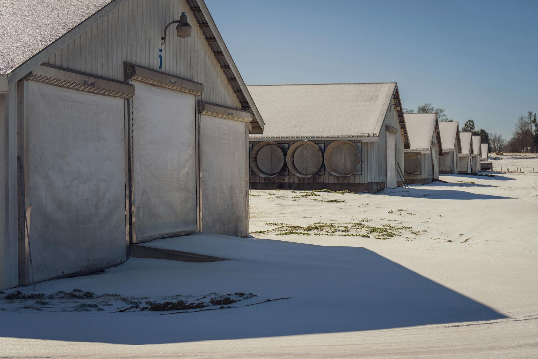 Zimowe zabudowania gospodarcze przykryte śniegiem na tle błękitnego nieba