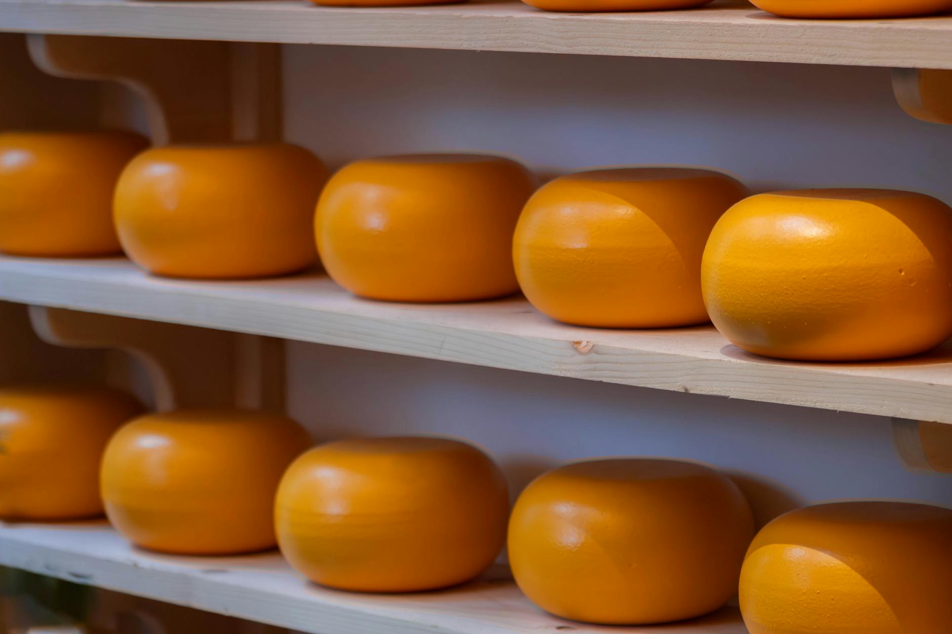 Kręgi sera gouda dojrzewające na drewnianych półkach