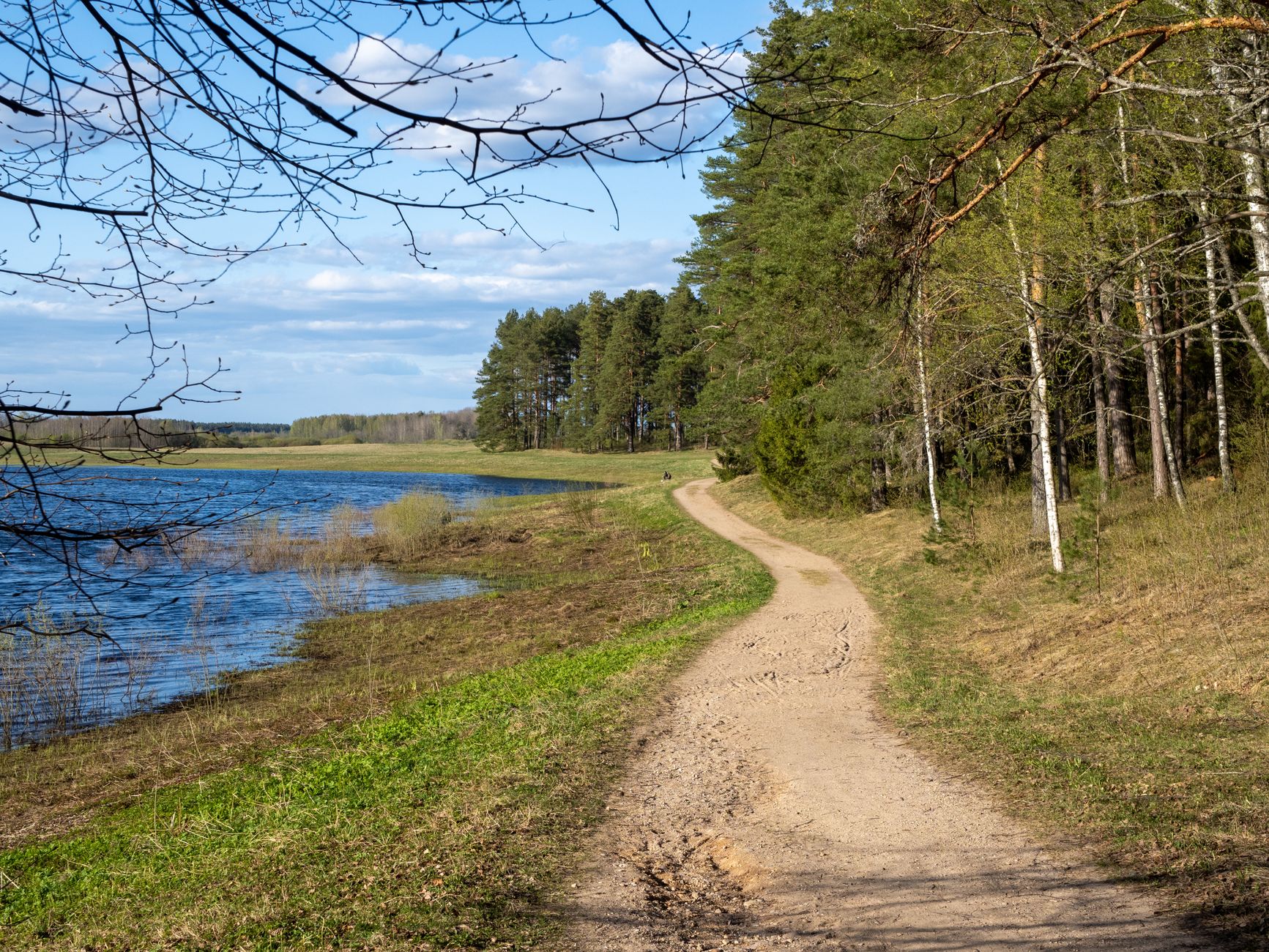 Leśna ścieżka nad spokojnym jeziorem w słoneczny dzień